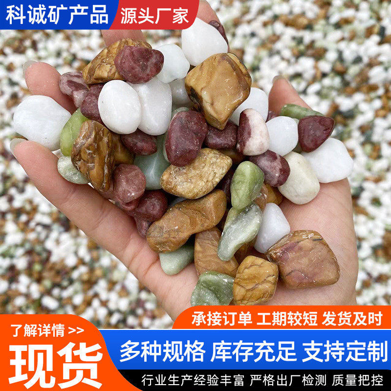彩石小石子鱼缸造景铺面石子鹅卵石多肉盆栽底砂种花装饰石头