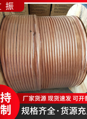 接地硬铜绞线加工定制tjx120/150/185裸铜缆镀锡铜绞线