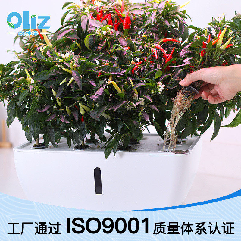 新款园艺室内种菜机无土栽培设备z206厂家直供种植智能机