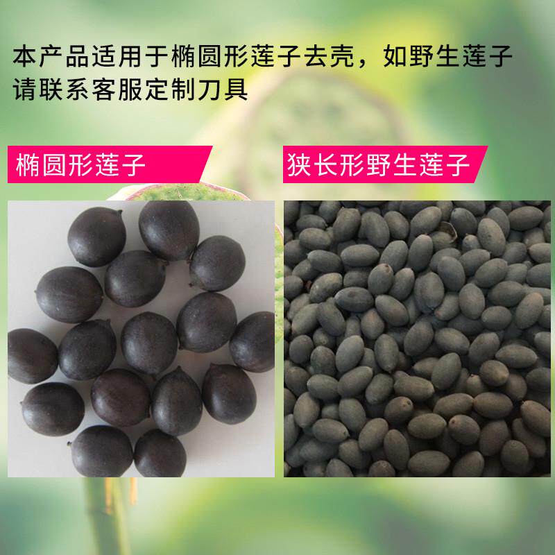 老莲子去壳机家用小型全自动去皮机器老莲子剥壳子割壳机破壳