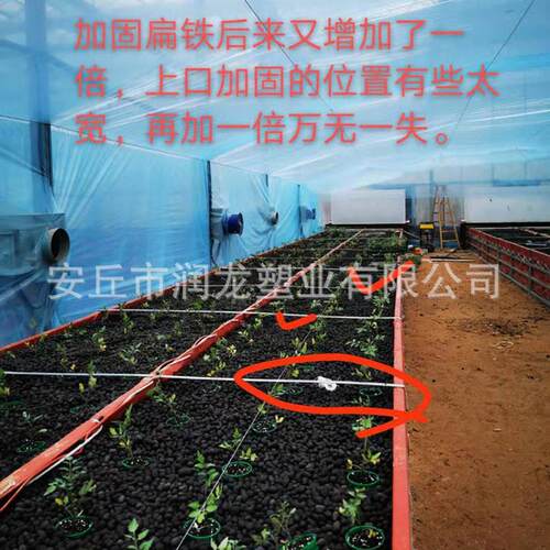 鱼菜共生种植槽大型种植养殖场种植园厂家大棚农场槽