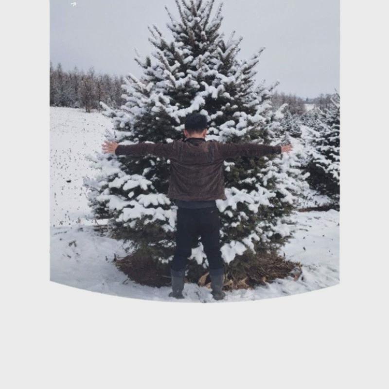 真的圣诞树真树活的云杉圣诞树盆栽大型小型2024圣诞树新款诺贝松