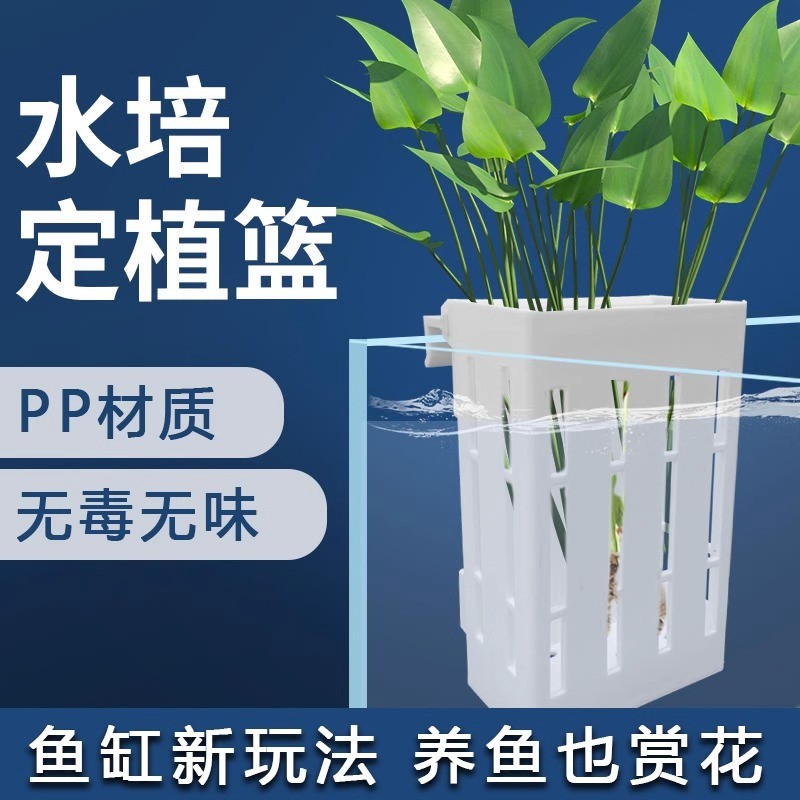 鱼缸水培定植篮壁挂式水草杯植物固定支架造景装饰配件小鹏说水族