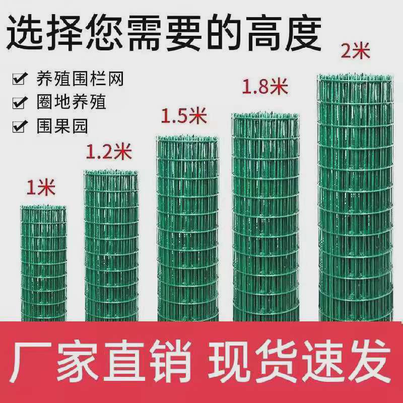 铁丝网围栏小孔养殖网鸡鸭围网防鼠菜园果园网户外家用护栏网铁网