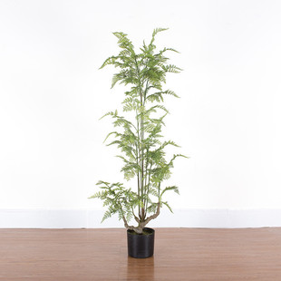 仿真蕨树造型树阳台假植物盆栽商场波斯蕨树橱窗人造小植物摆件