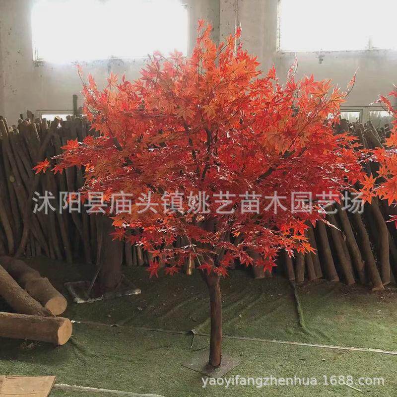 仿真红枫树枫叶树造型假红枫酒店商场装饰仿真树大型红枫树图片
