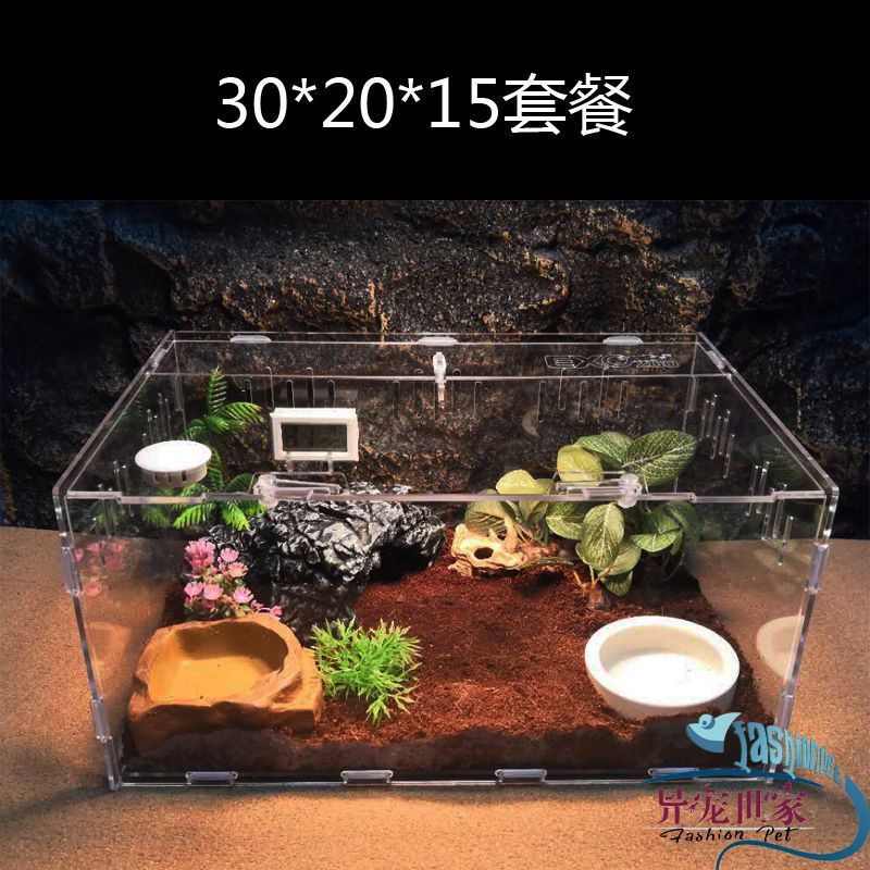 蜗牛饲养盒独角饲养箱甲虫仙爬宠饲养盒亚克力透明塑料甲虫爬宠箱