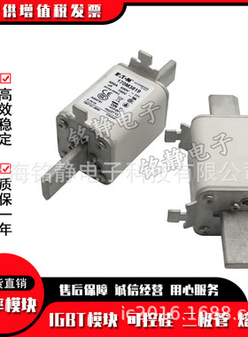 170M3613170M3614170M3615170M3616170M3617熔断器170M3618