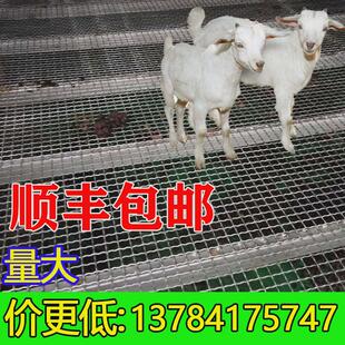 羊床钢丝网漏粪网养羊用的设备钢网鸡鸭鹅漏粪网热镀锌编织围栏网