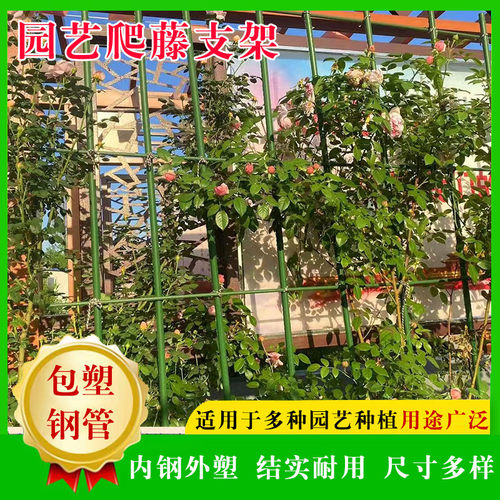厂家直供钢管包塑园艺爬藤支架批发户外庭院瓜果绿植爬藤支架管