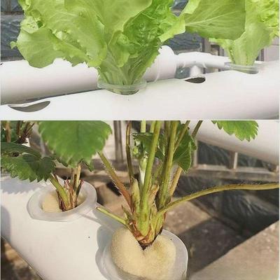 阳台种菜无土栽培壁挂式管道水培蔬菜机设备自动水耕多层种植架