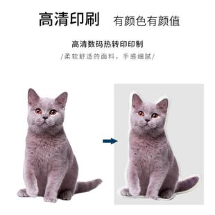 diy抱枕异形等身人物真人枕头猫咪来图可印照片宠物靠枕