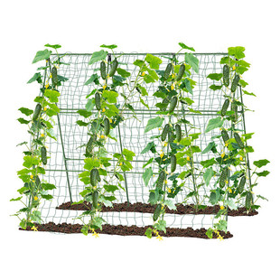 爬藤架花架葡萄豆角黄瓜架子包塑钢管植物种菜搭架园艺支撑杆窗台