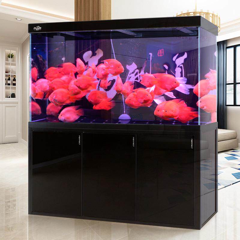鱼缸水族箱小型免换水玻璃生态长方形现代简约客厅家用金鱼缸创意