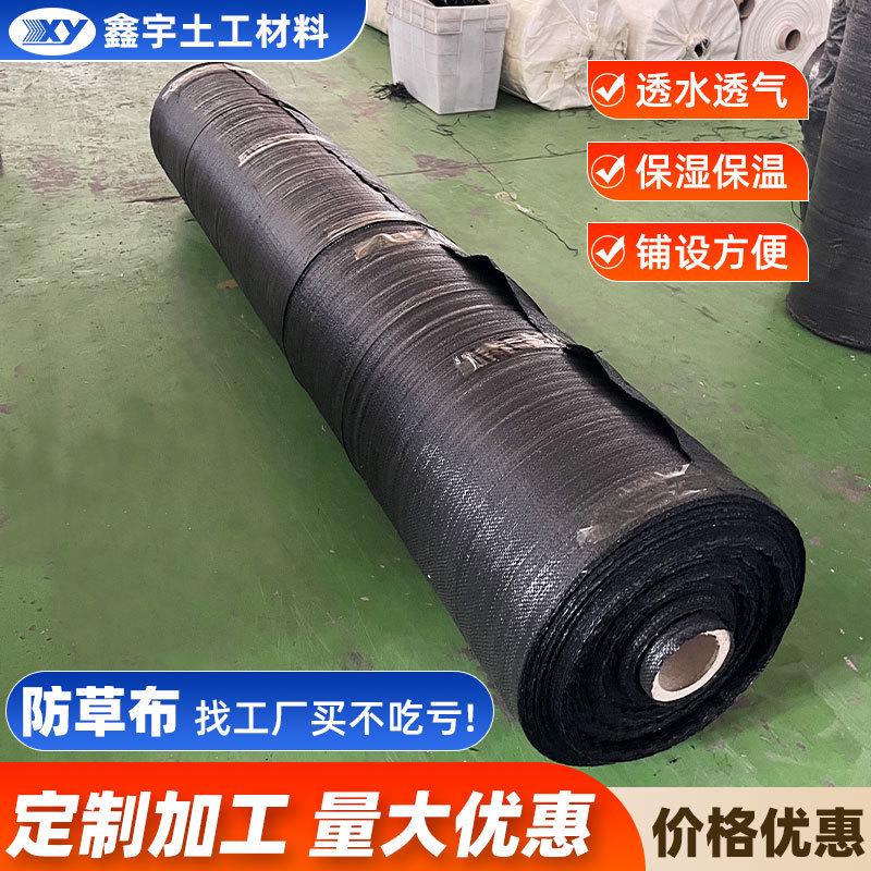 pe家园艺地布农用果园除草布地膜新型生态遮草布厂防草布批发