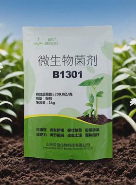 抗育苗冲施滴灌水溶肥叶面肥重茬移栽生根剂农用微生物菌剂b1301