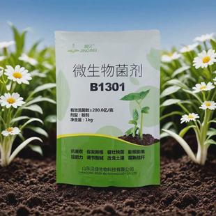 水溶肥重茬冲施滴灌抗叶面肥育苗移栽生根剂农用微生物菌剂b1301