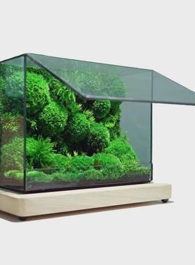 四面透明玻璃几何玻璃花房桌面装饰盒雨林缸微景观森林生态迷你