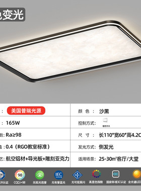 客厅灯吸顶灯现代简约轻奢创意超薄无缝2024灯云雾高级感大厅主新