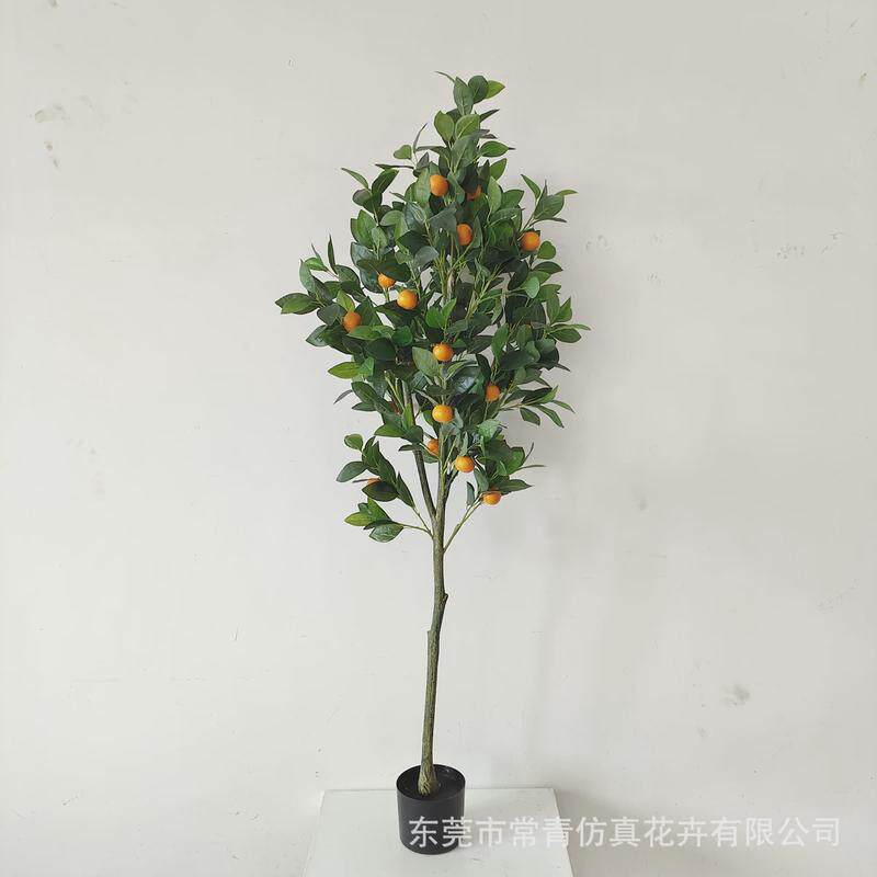 常青盆栽子树商场店铺软装装饰桔造景设计仿真加密款橘子树