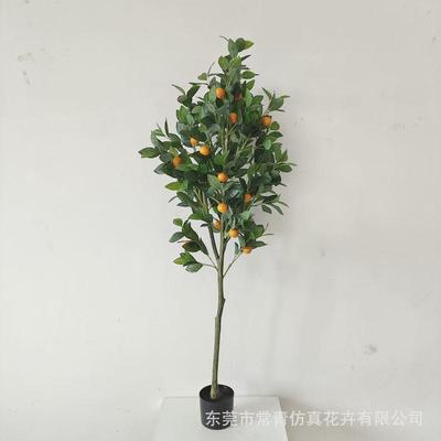 常青桔子树商场店铺软装装饰盆栽造景设计仿真加密款橘子树