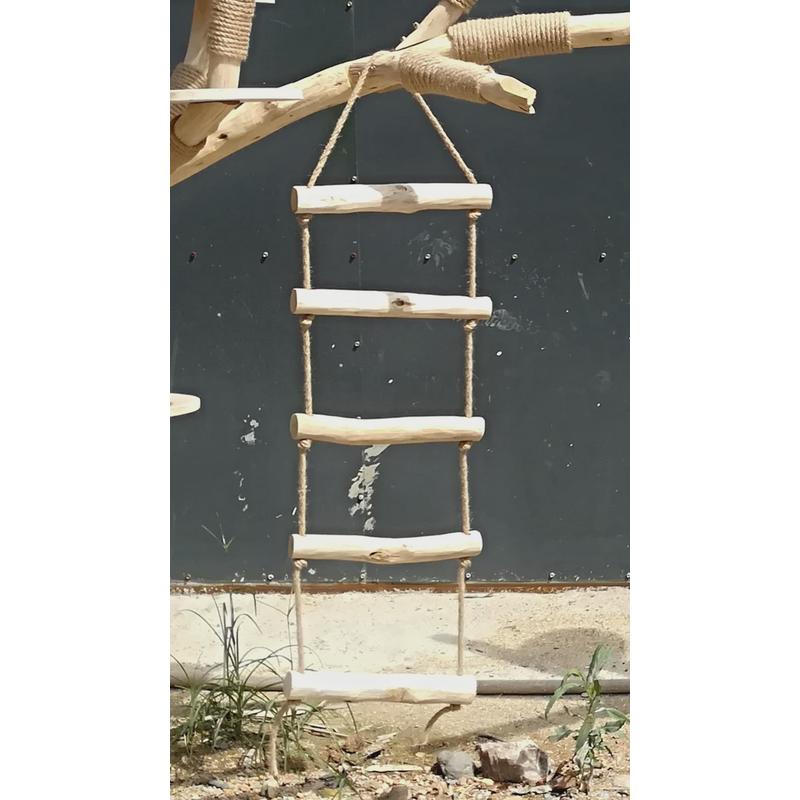 猫爬架耐磨不粘毛真树干实木宠物大型猫树猫架跳台一体网红猫爬树