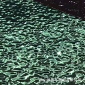 201水波纹纹板大中小流动波浪压花纹板墙面吊顶装 饰波不锈钢板