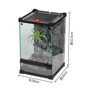 爬宠造景缸一体缸缸一物成景雨林爬宠爬虫爬宠景观缸沙漠爬缸