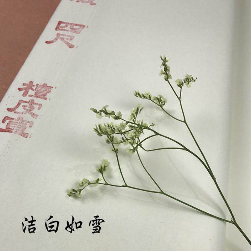 安徽四尺檀皮宣纸手工玉版洁白净宜宣纸宜书皮画山水国画书法创作
