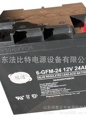 冠通铅酸蓄电池6-GFM-24阀控式12V24AhUPS不间断电源