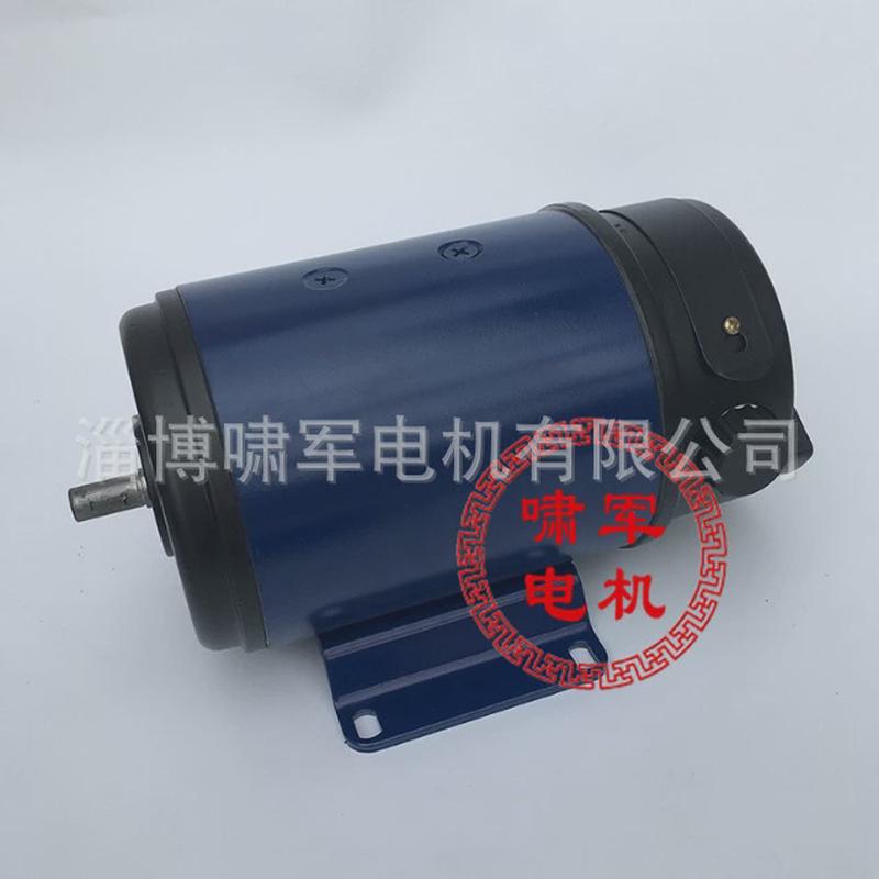 110zyt154永磁微电机220v直流电机700w3000转博山直流电机