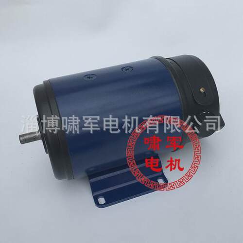 110zyt154永磁直流电机220v微电机700w3000转博山直流电机