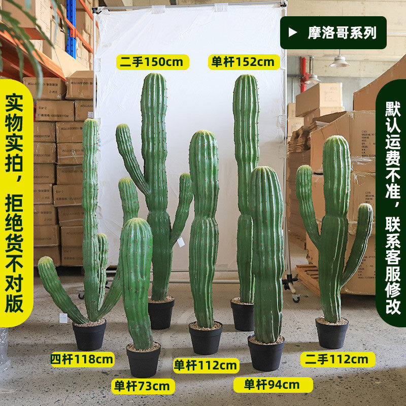 仿真仙人掌沙生沙漠绿植造景墨西哥仙人掌量天尺假仙人柱植物绿植