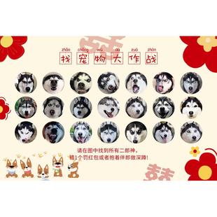 接亲堵门游戏找宠物kt板婚礼小道具找狗狗猫咪文明创意氛围小游戏