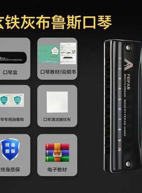 c调/飞繁十孔攀岩者feifan布鲁斯口琴mc20初学者入门专业演奏口琴