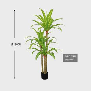 仿真跳舞兰客厅室内大型落地假花装饰花草盆栽景巴西木铁植物绿植