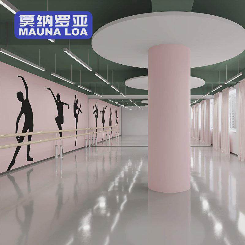 舞蹈地胶地垫健身房专用教室内pvc塑胶运动芭蕾地板舞蹈地板,家装主材,PVC地板,淘宝优惠券,粉丝福利购,淘宝优惠卷