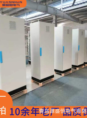 仿威图机柜控制柜ps九折es五折配电柜厂家直销柜体成套配电柜ip55