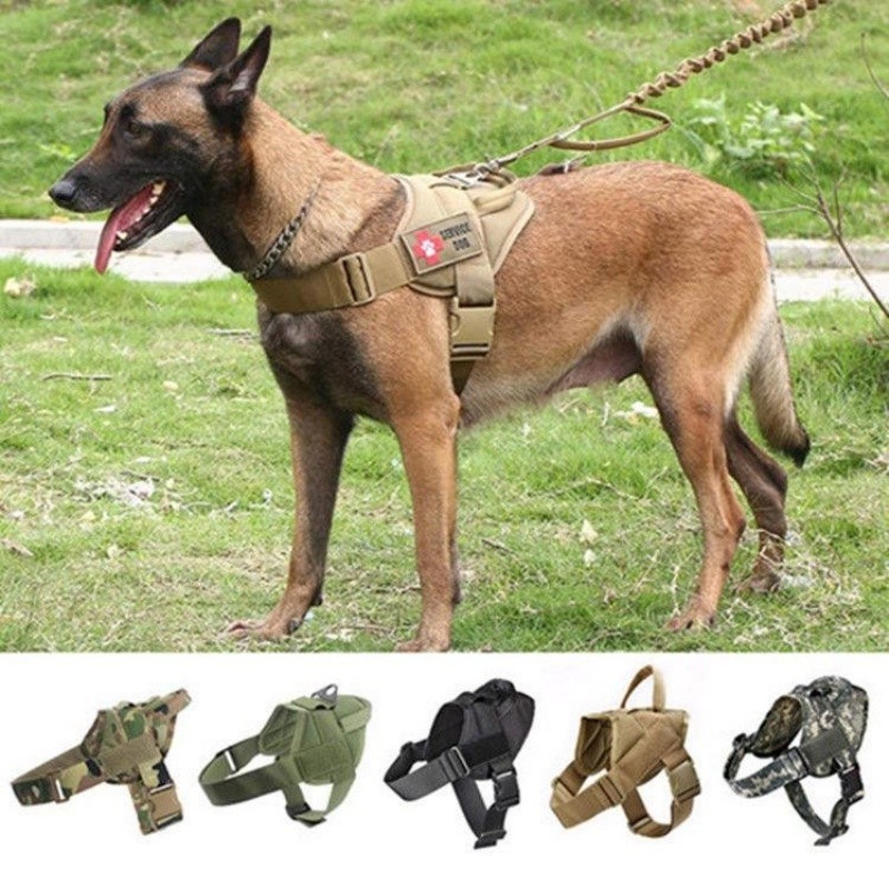 马犬牵引绳专用训练战术胸背带中大型遛狗绳杜宾金毛狗链德牧项圈