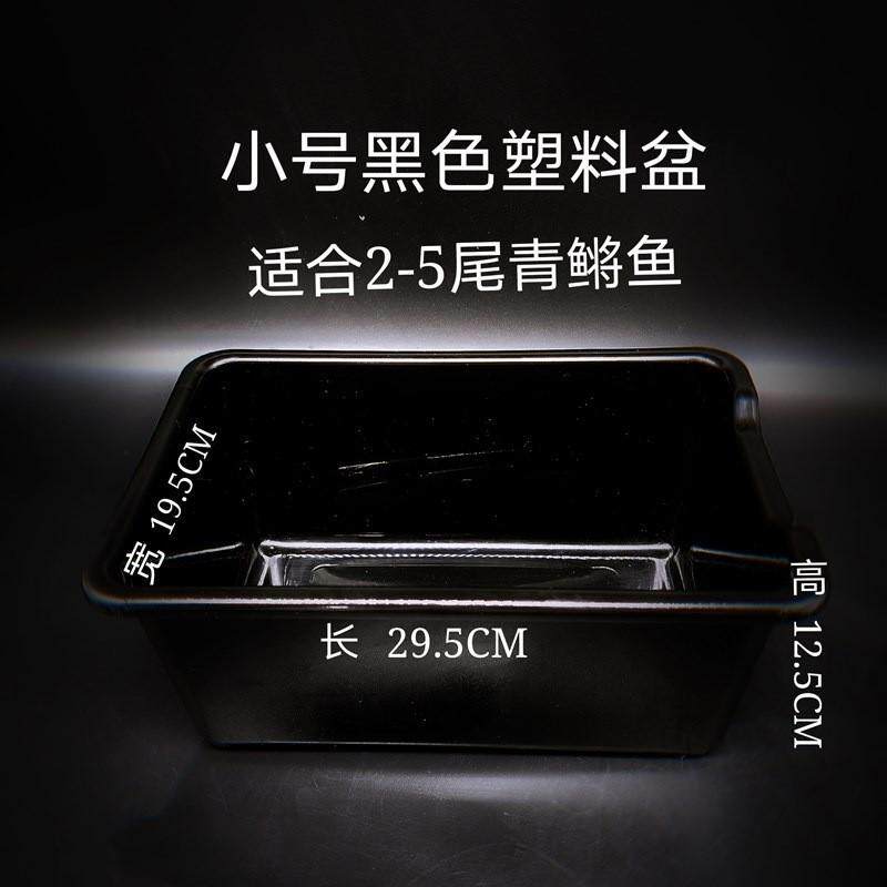 鱼缸鱼碗容器观背青鳉匠鱼饲养钵古法养鱼生态缸,宠物/宠物食品及用品,桌面缸,淘宝优惠券,粉丝福利购,淘宝优惠卷