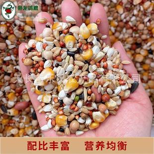 枭龙鸽粮营养赛鸽信鸽营养鸽子食50斤