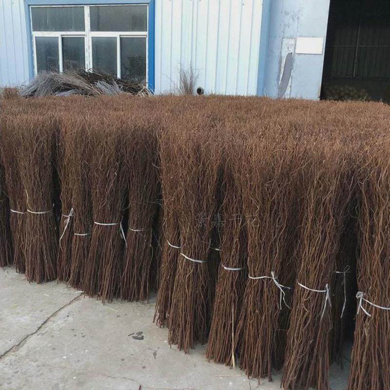 龙柳干枝造景天然雪柳干花树枝婚庆拱门装饰客厅落地玄关摆件插花