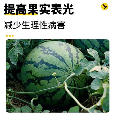 九肽钙镁硼锌铁全元素防补钙叶面肥裂果膨果促上色果树瓜果冲施肥