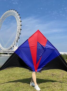 潍坊大风筝厂家直销量大优红白大三角金鹏草原树枝杆微风易飞kite