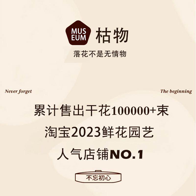 家居摆设多头玫瑰风干真花迷你小花复古客厅装饰摆件天然干花花束