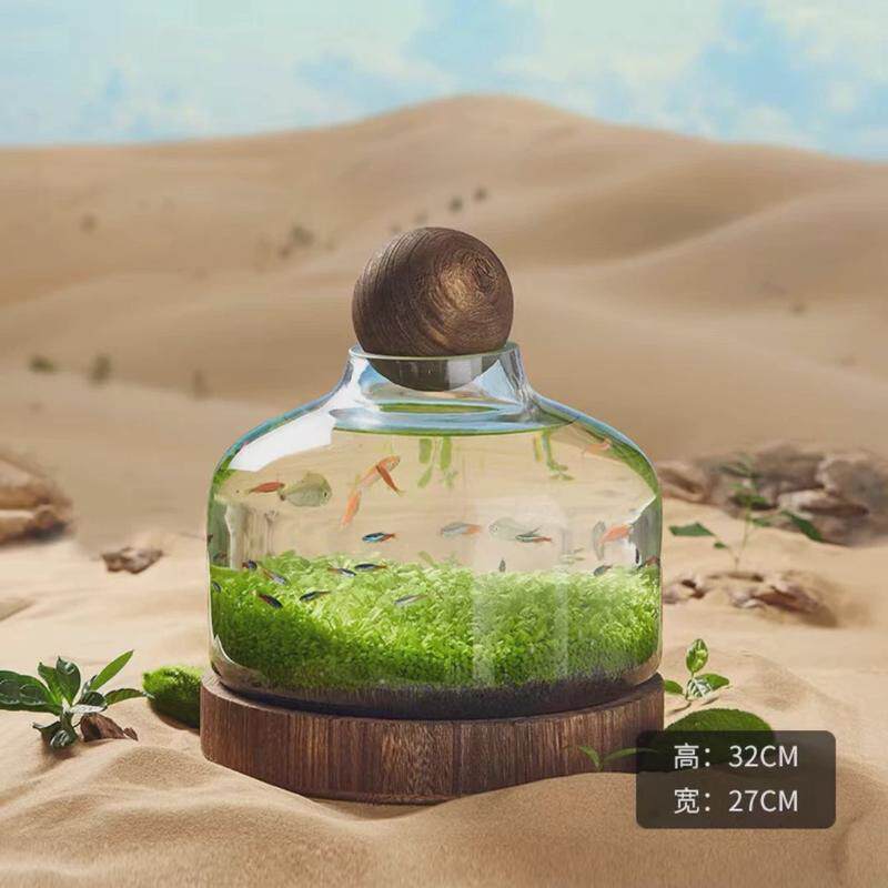 微景观生态瓶玻璃鱼缸创意造景diy鱼虾水草缸日式木托桌面办公室