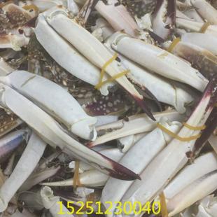 xc蟹脚钳冷冻蟹腿梭子蟹脚螃蟹腿梭子蟹钳螃蟹生鲜梭子蟹腿蟹钳脚
