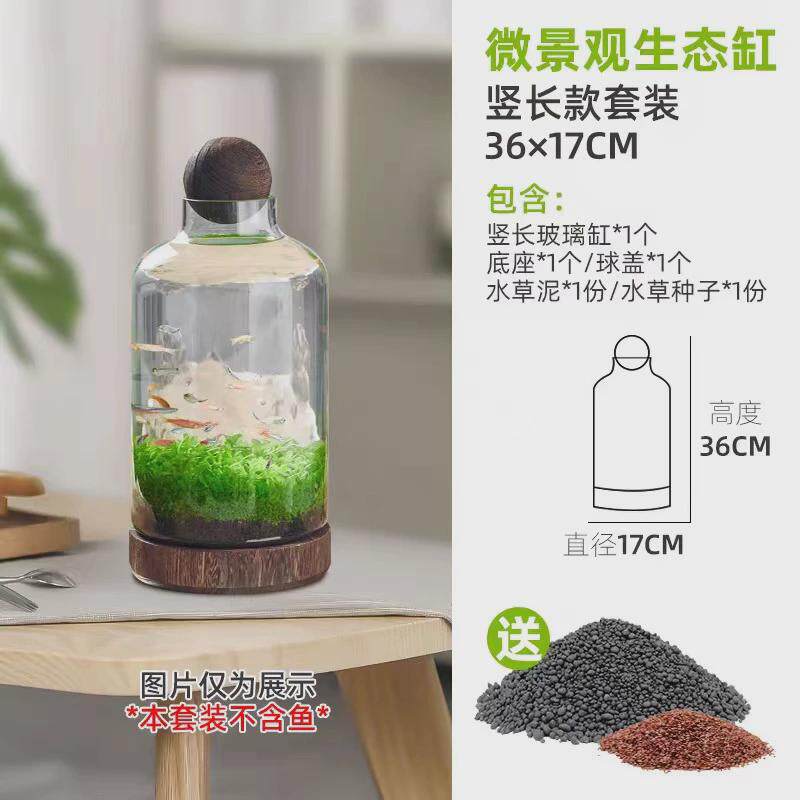 微景观生态瓶玻璃鱼缸创意DIY造景鱼虾水草缸日式木托桌面办公室,宠物/宠物食品及用品,桌面缸,淘宝优惠券,粉丝福利购,淘宝优惠卷