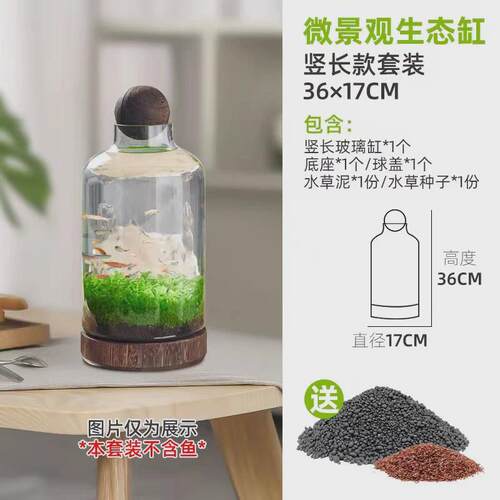 微景观生态瓶玻璃鱼缸创意DIY造景鱼虾水草缸日式木托桌面办公室