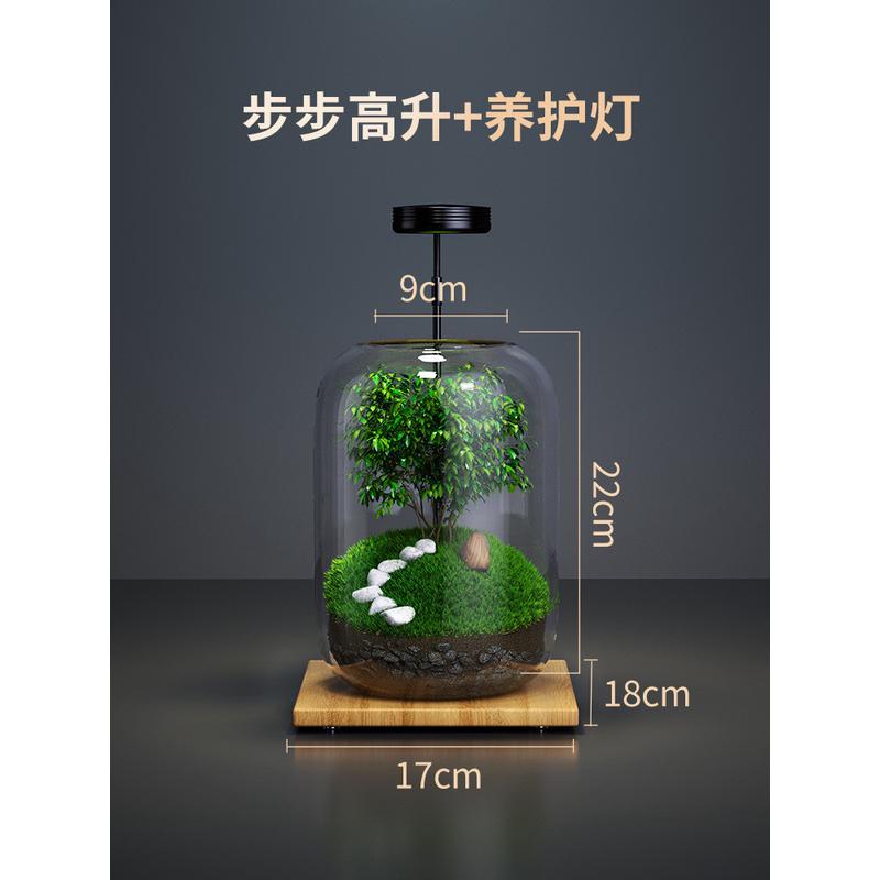 办公室桌面生态瓶鱼缸循环微景观免打理微生态玻璃微观自空瓶造景